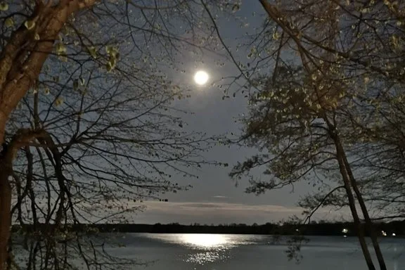 Свет серебряной луны